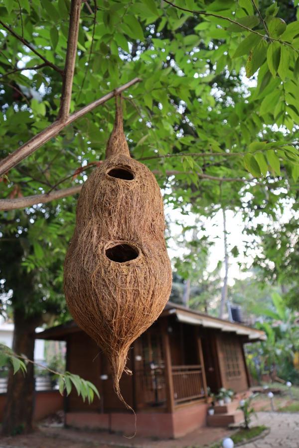 Greenchromide Homestays Mundrothuruth Εξωτερικό φωτογραφία